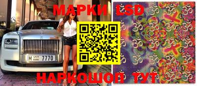 гидропоника Коммунар